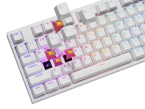 KLAWIATURA DLA GRACZY GENESIS THOR 404 US PODŚWIETLENIE RGB MECHANICZNA BIAŁA OUTEMU PEACH SILENT
