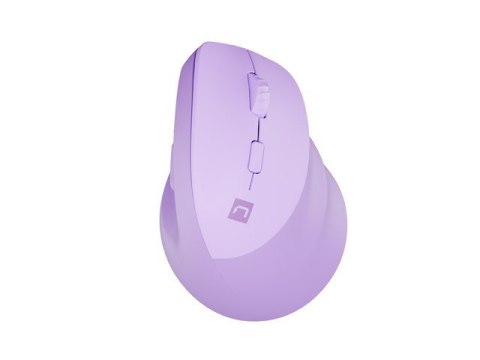 NATEC Crake 2 myszka Uniwersalne Po prawej stronie RF Wireless + Bluetooth Optyczny 2400 DPI NATEC Crake 2 myszka Uniwersalne Po prawej stronie RF Wireless + Bluetooth Optyczny 2400 DPI
