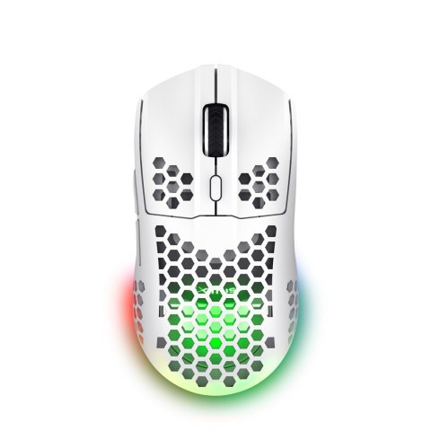Trust GXT 929 Helox myszka Gaming Po prawej stronie RF Wireless Optyczny 4800 DPI