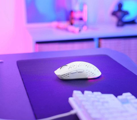 Trust GXT 929 Helox myszka Gaming Po prawej stronie RF Wireless Optyczny 4800 DPI