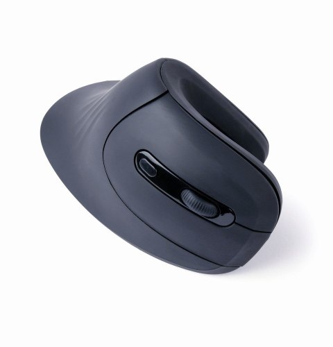 Gembird MUSW-ERGO-03 myszka Dom Po prawej stronie RF Wireless Optyczny 1600 DPI