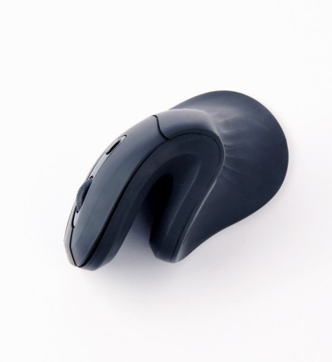 Gembird MUSW-ERGO-03 myszka Dom Po prawej stronie RF Wireless Optyczny 1600 DPI