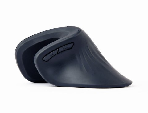Gembird MUSW-ERGO-03 myszka Dom Po prawej stronie RF Wireless Optyczny 1600 DPI