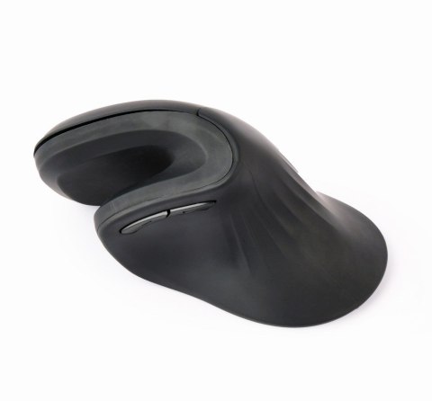 Gembird MUSW-ERGO-03 myszka Dom Po prawej stronie RF Wireless Optyczny 1600 DPI