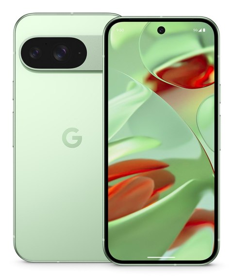 Google Pixel 9 16 cm (6.3") Dual SIM Android 14 5G USB Type-C 12 GB 128 GB 4700 mAh Zielony