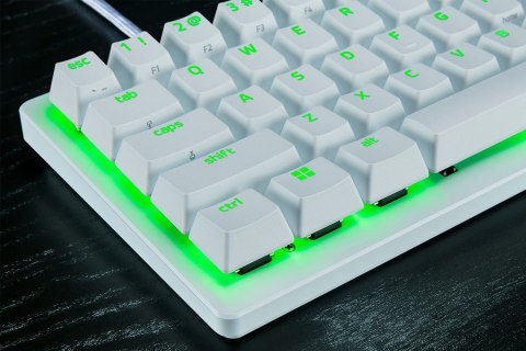 Razer RZ03-04990100-R3M1 klawiatura Gaming USB QWERTY UK międzynarodowy Biały