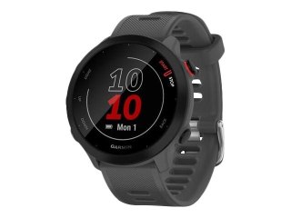 Smartwatch Garmin Forerunner 55 Grey, 010-02562-13