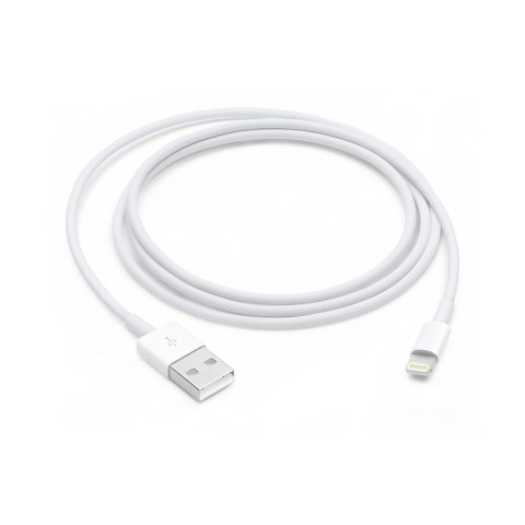 Apple Lightning auf USB (1m)