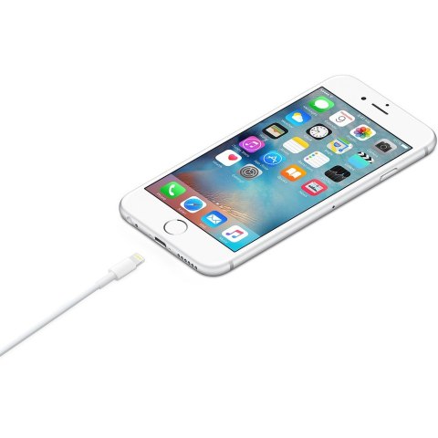 Apple Lightning auf USB (1m)