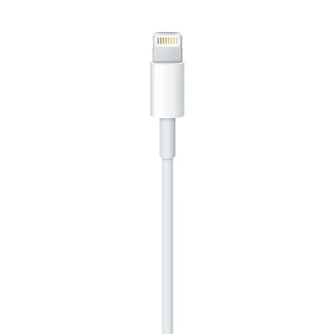 Apple Lightning auf USB (1m)