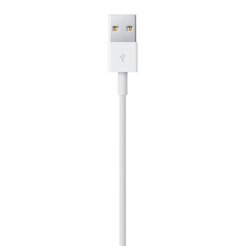 Apple Lightning auf USB (1m)
