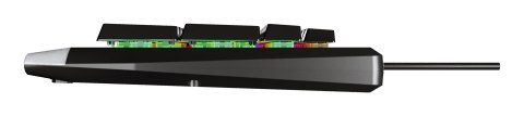 GENESIS Rhod 300 RGB klawiatura Gaming USB QWERTY Angielski Czarny