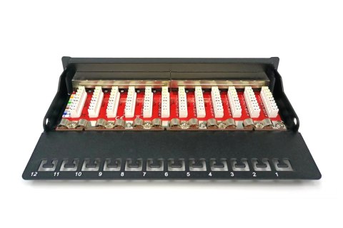 Digitus Panel krosowy desktop 12x RJ45, LSA poziom, kat.6A, ekranowany, czarny, prowadnica kabli