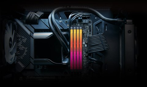 32GB DDR5-7200MT/S CL38 DIMM/KIT OF 2 FURY RENEGADE RGB XMP