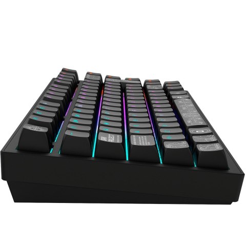Przełącznik Moonstone, model ALU81A, G3MS Terra Nova