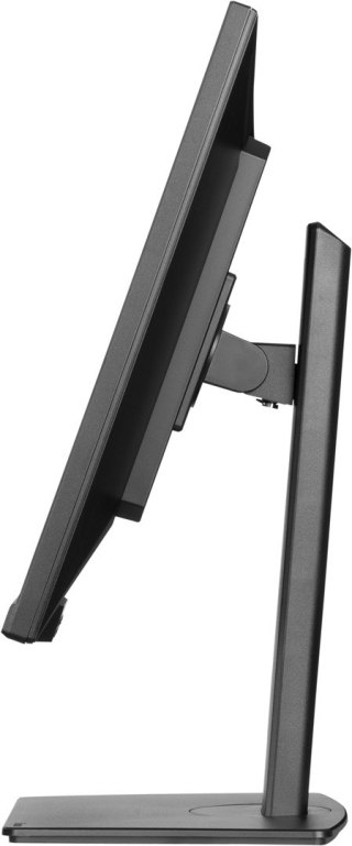 Monitor IIYAMA 80.0cm (32,0") XUB3297QSNP-B1 16:9 2xHDMI+DP+USB-C