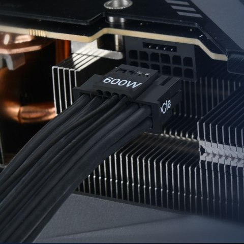 Silverstone PP14-PCIE 550 m