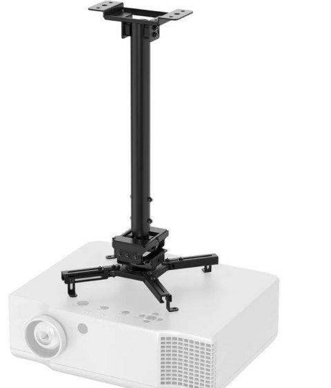 Neomounts CL25-540BL1 uchwyt do montażu projektora Sufit Czarny