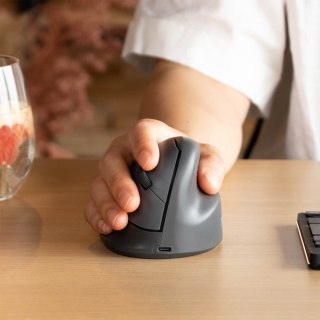 Myszka R-Go HE BASIC MEDIUM ERGONOMIC - Maus - Bluetooth (RGOHEBAMRWL)