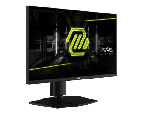 Monitor MAG 255PXF