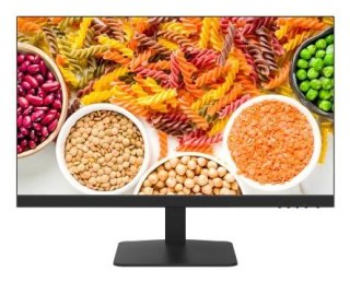 Hikvision DS-D5024F2-1P2 ekran do monitoringu Monitor CCTV 60,5 cm (23.8") 1920 x 1080 px