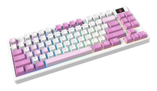 Klawiatura gamingowa VIOLET US/FORGE GK600 TKL W VIOLET MSI