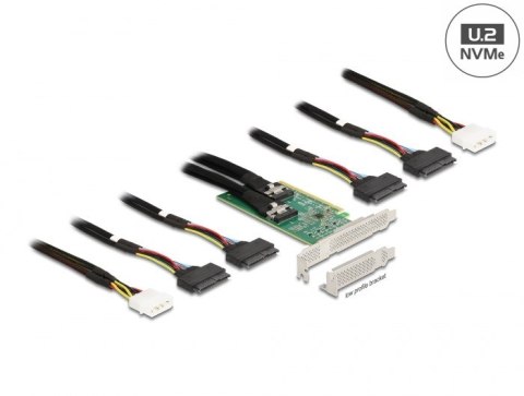 Delock PCI Express 4.0 x16 Karte zu 4 x SFF-8639 N