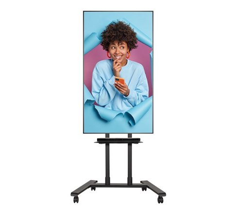 Uniwersalny wózek lub stojak do monitora B-Tech BT8504/BB V2