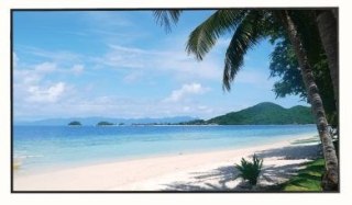 Monitor HDMI, DP, VGA, AUDIO, USB, RJ45 LM49-S400 49" - 4K UHD DAHUA