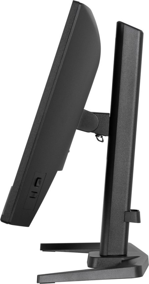 Monitor iiyama G-Master GB2471HSU-B1 24" Fast-IP - Płaski ekran