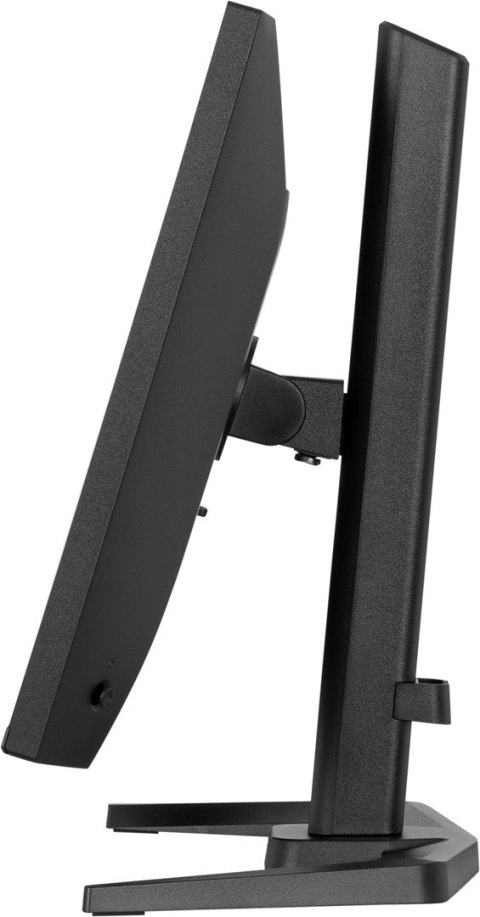 Płaski ekran 24" iiyama G-Master GB2441HSU-B1 HD Ga