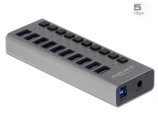 Delock Zewnętrzny USB 3.0 Hub z 10 portami i przełącznikami