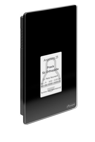 Terminal kontroli dostępu Auerswald TFS-Dialog 400