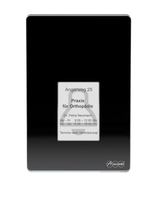 Terminal kontroli dostępu Auerswald TFS-Dialog 400