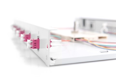 Panel krosowy FO z wyposażeniem 19'' 1U, 6x LC dx,OM4, pigtaile, adaptery, tacki, wysuwany, szary