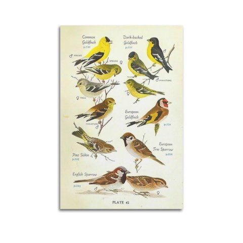 Smartfon 5G Samsung Galaxy A36 5G - 256GB | Niesamowita limonka