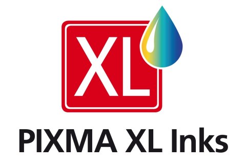 Zestaw tuszów PG-575XL /CL-576XL PVP