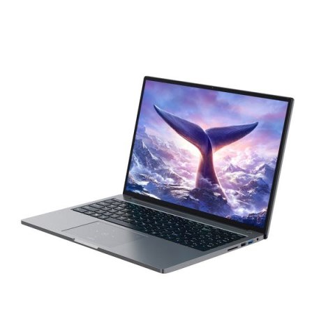 Laptop Blackview GamiBook-8 Ryzen 7 7735HS/16" WUXGA (1920x1200)/32GB/1TB/BT/BLKB/Win11Pro szary