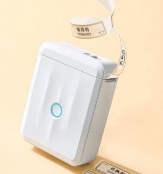 Drukarka Etykiet Niimbot D110_M biały