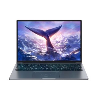 Blackview GamiBook-8 Ryzen 7 7735HS 16"WUXGA AG 16GB 512GB BT BLKB FPR W11Pro Grey