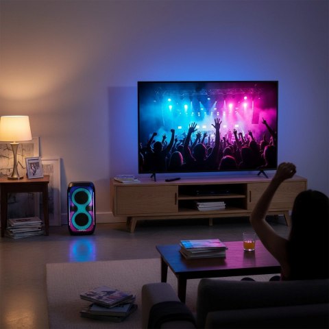 System audio BLAUPUNKT PB60X