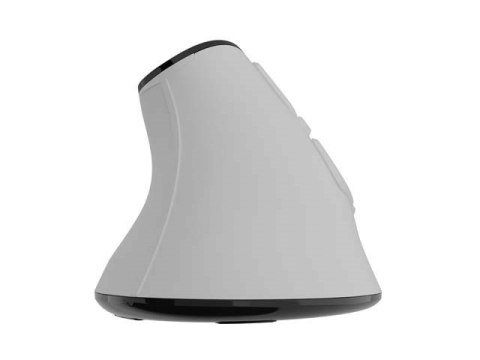 NATEC MYSZ BEZPRZEWODOWA EUPHONIE PRO BT5.0 4000DPI BEZPRZEWODOWA CICHA PROGRAMOWALNA